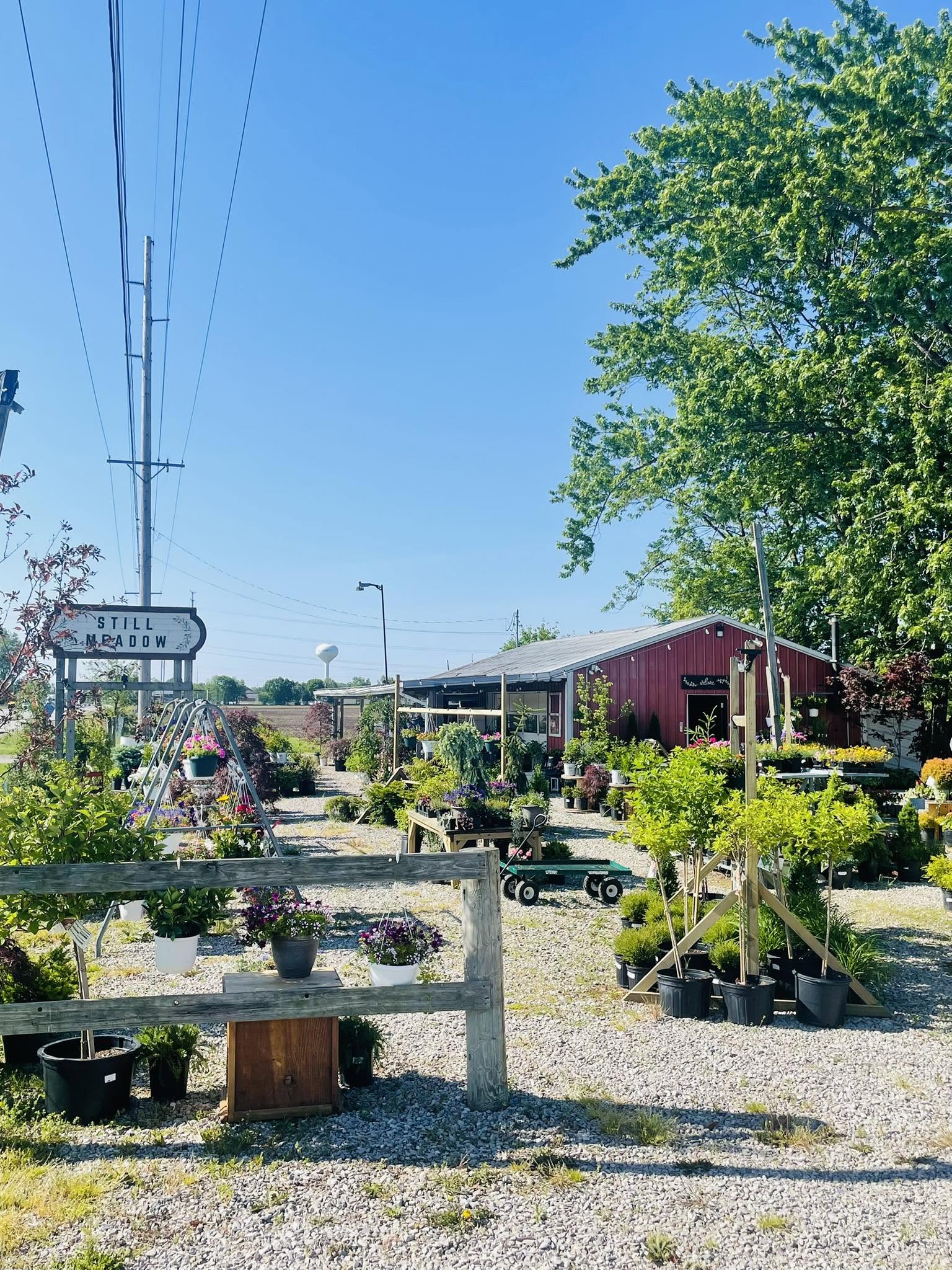 Plant displays along the gravel paths at Still Meadow Garden Center