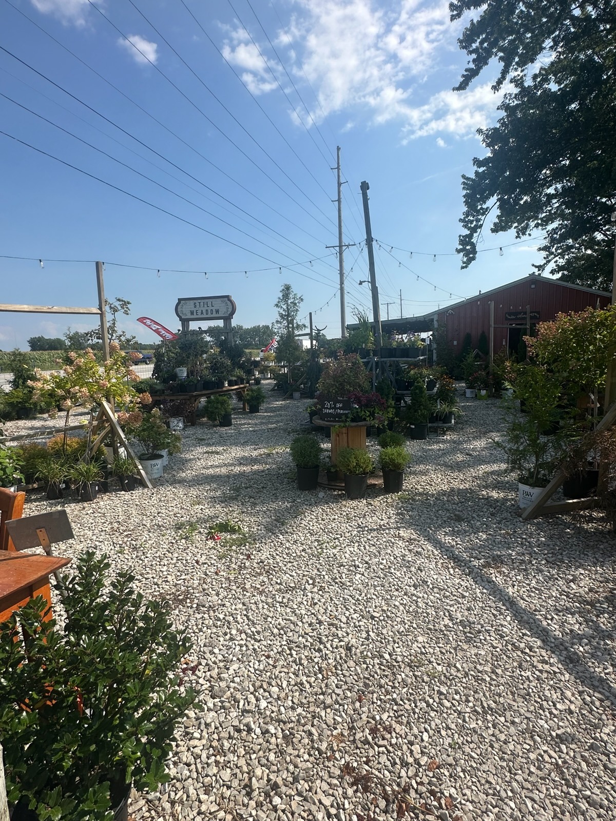 Gravel paths and plant displays at Still Meadow Garden Center