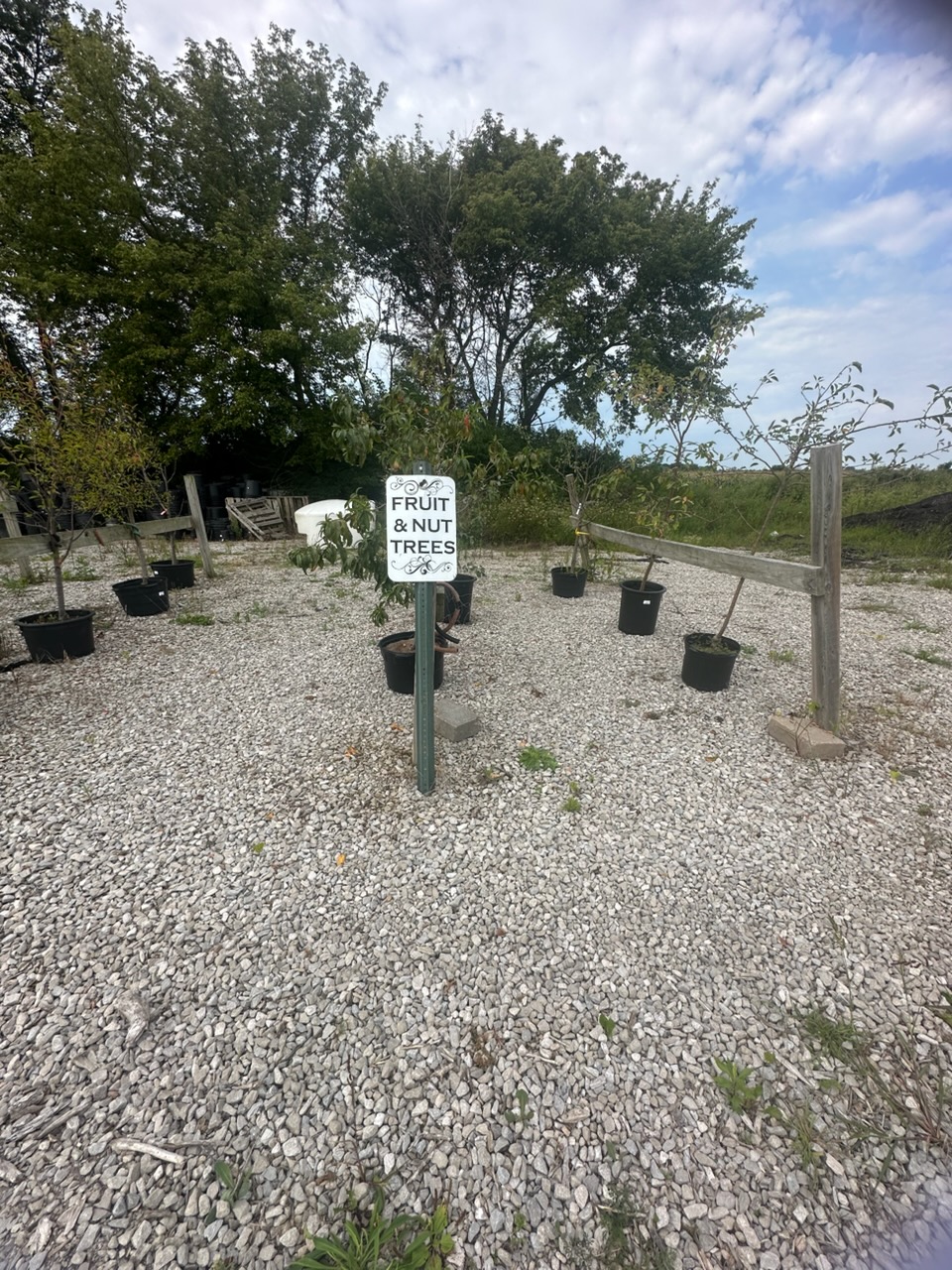 Fruit and nut trees displayed with a garden center sign